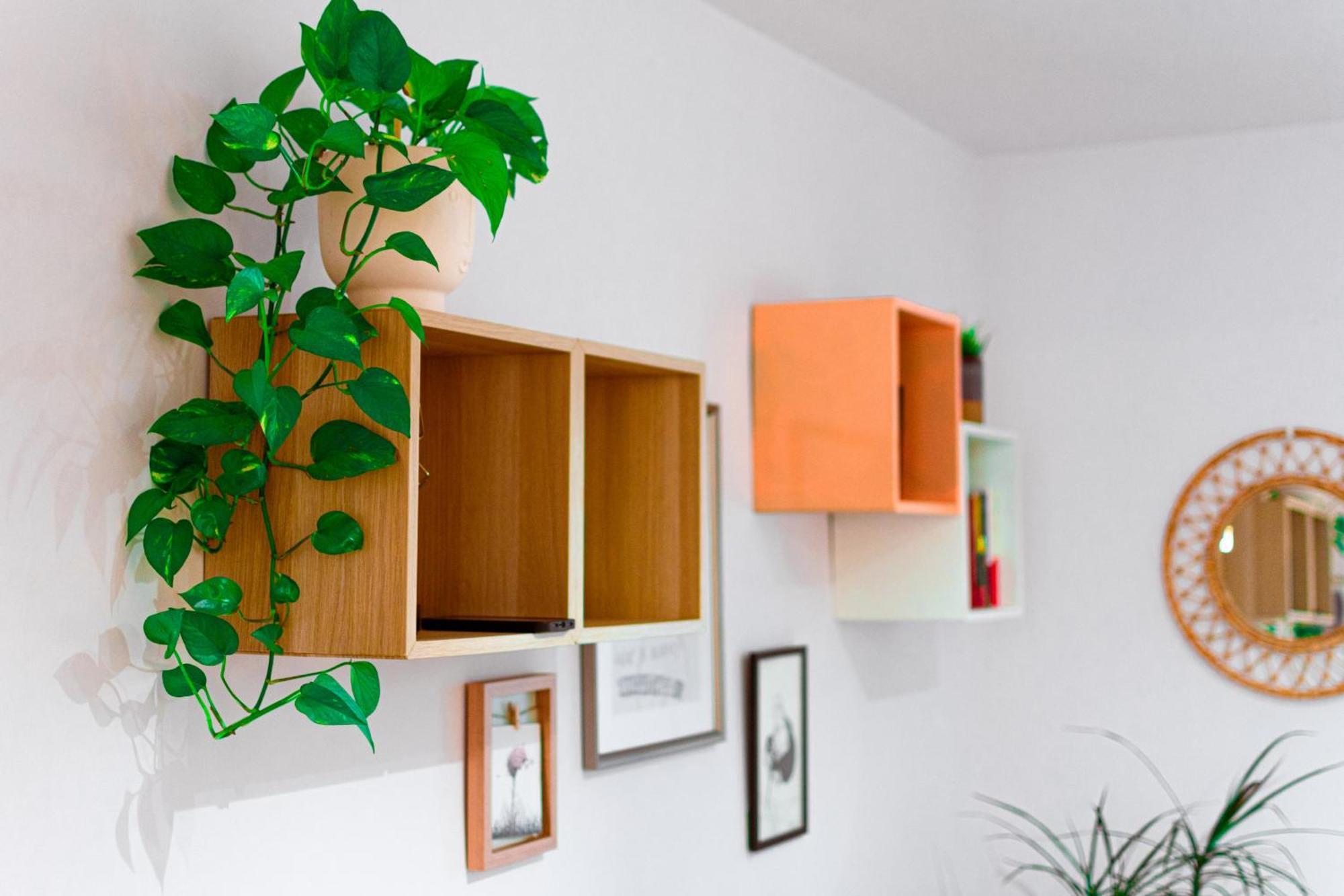 Edomus Feria Y Flamenco Apartment เซบีญา ภายนอก รูปภาพ